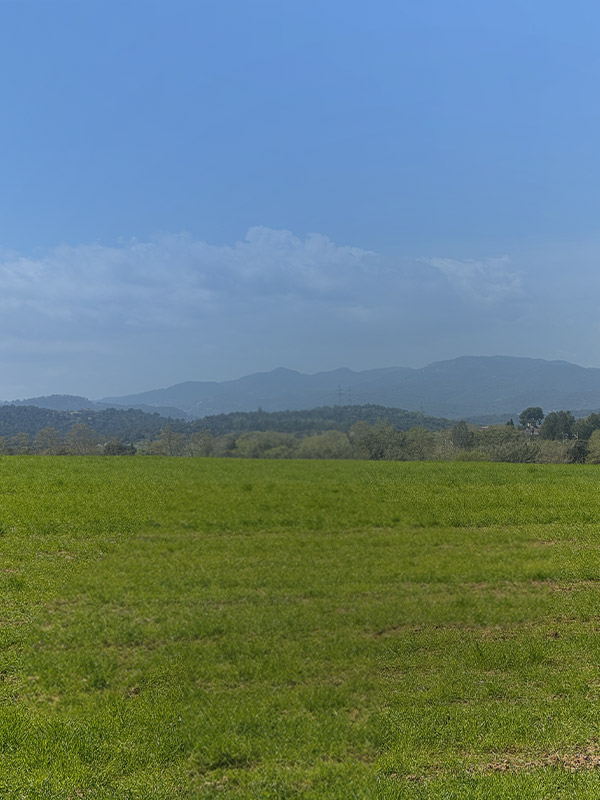 bonÀrea dessuadores