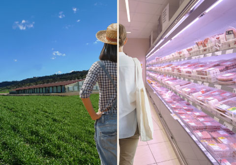 bonÀrea traçabilitat