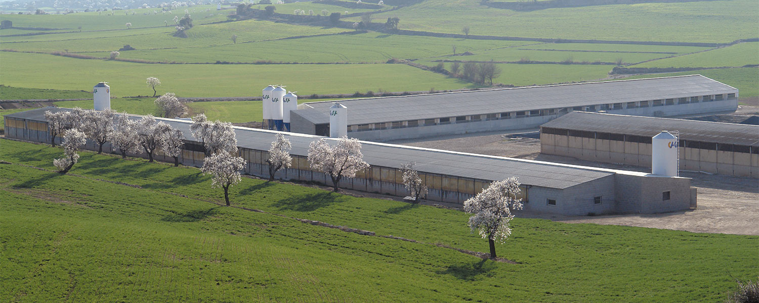 granja bonÀrea